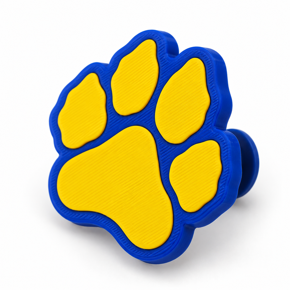 Valley View Paw Print Shoe Charm