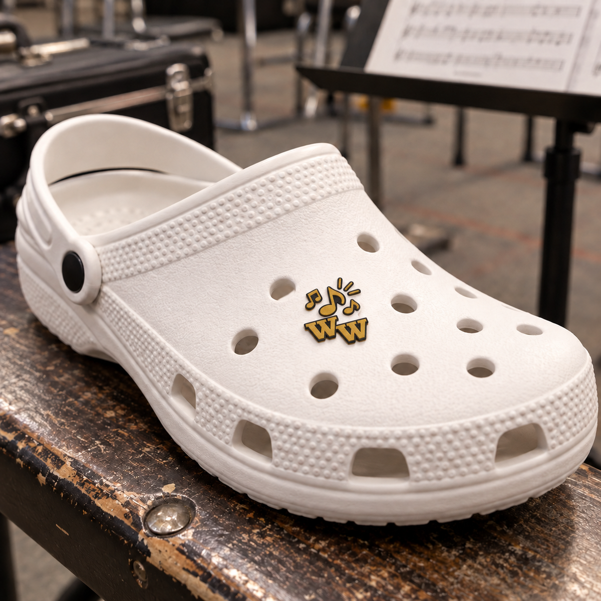 Western Wayne Music Shoe Charm — lifestyle